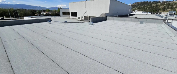 A large, flat, light-gray commercial rooftop by American Patriot Roofing with minimal vents and equipment, set against a North Texas backdrop of trees, mountains, and a partly cloudy sky.