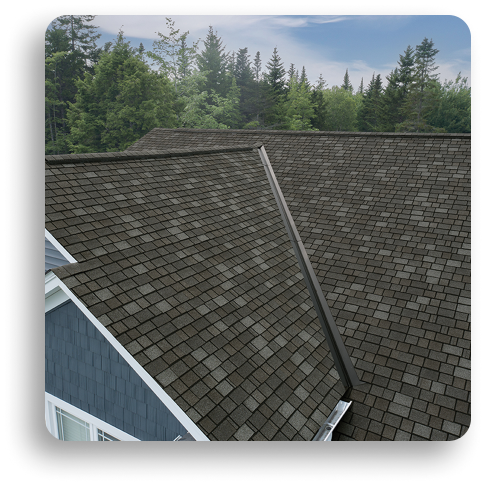 A close-up view of a house roof covered with dark asphalt shingles by American Patriot Roofing, showcasing quality residential roofing in North Texas, with trees and a cloudy sky in the background.