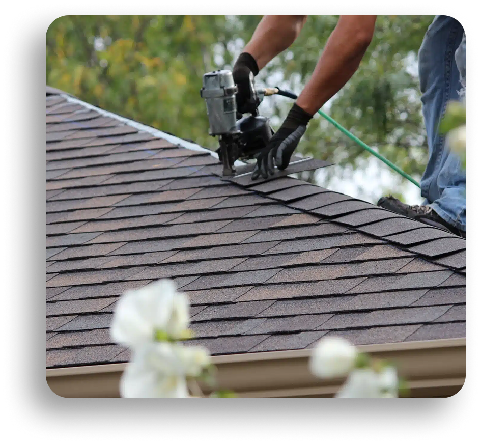 A person uses a nail gun to install asphalt shingles on a sloped roof, highlighting residential roofing work in North Texas, with green trees and some white flowers visible in the blurred foreground and background.